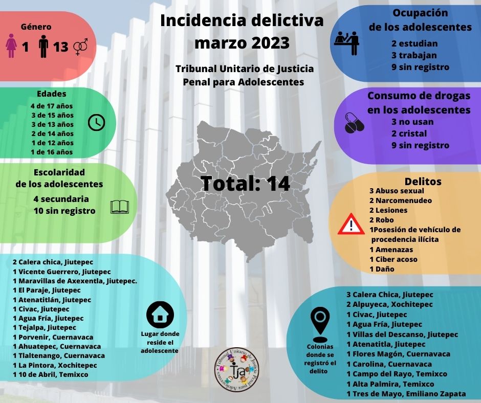 Boletin 31