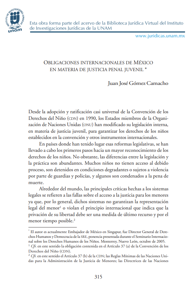 Obligaciones Internacionales de México en Materia de Justicia Penal Juvenil