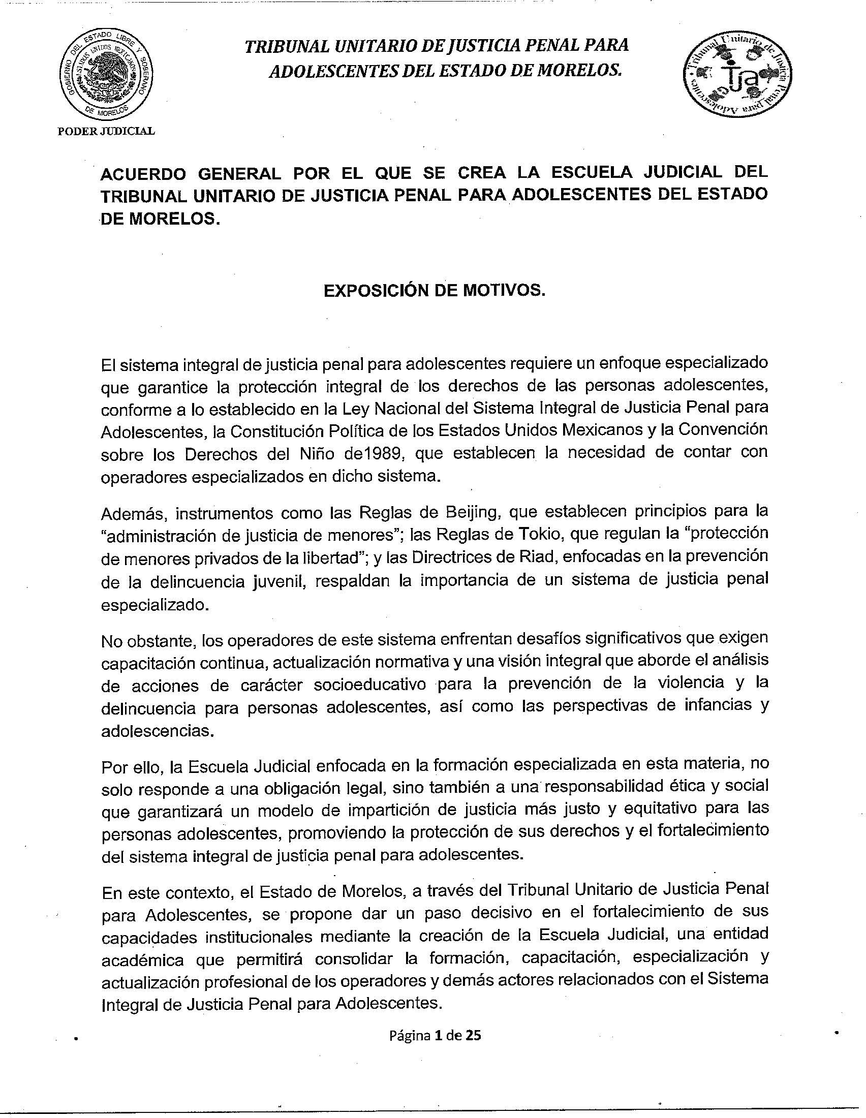 Acuerdo General por el que se crea la Escuela Judicial del Tribunal Unitario de Justicia Penal para Adolescentes