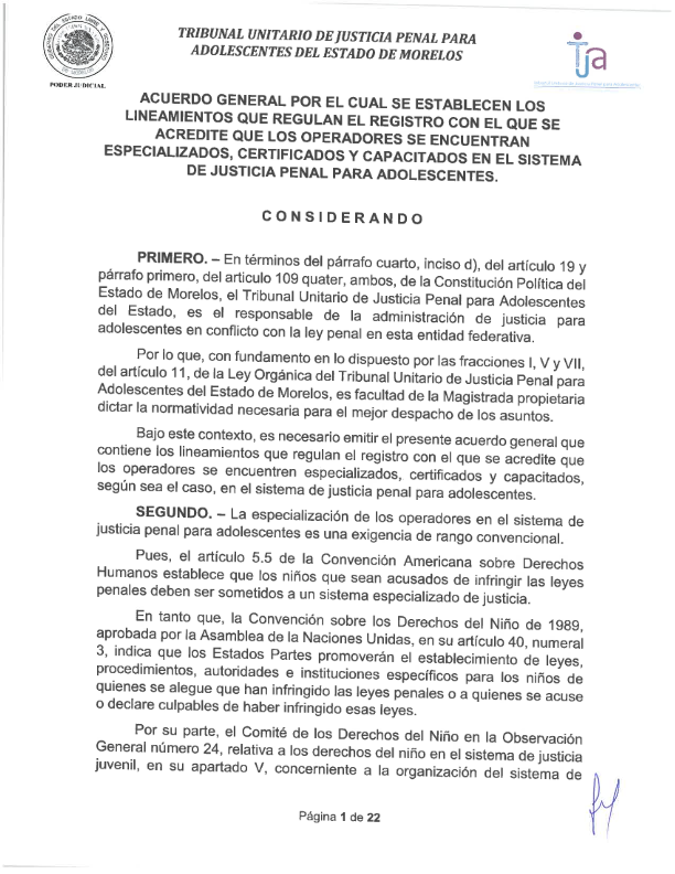 Lineamientos de especialización