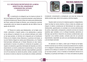 Informe Anual 2010