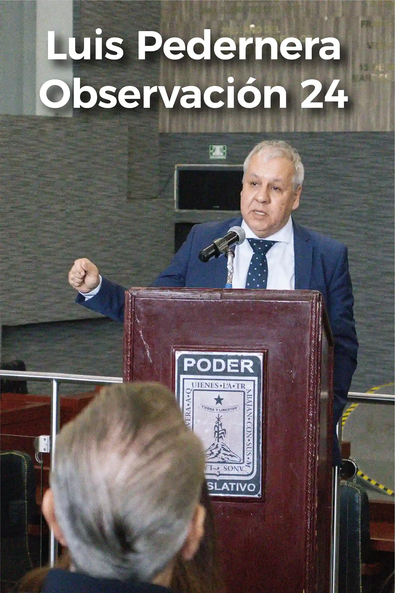Luis Pedernera Observación 24