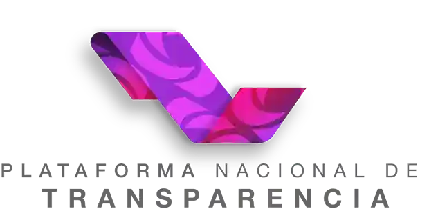 Plataforma Nacional de Transparencia