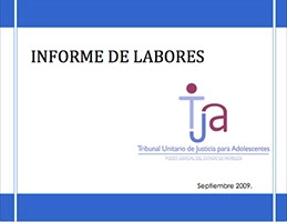 Informe Anual 2009